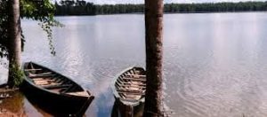 Tour en Amazonas Rainforest