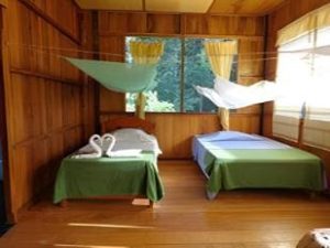 Travel in the Amazon 3 days