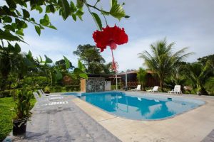 Travel in the Amazon 3 days