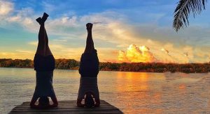 Travel in the Amazon