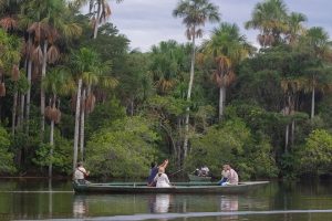 Tour en Amazonas Rainforest
