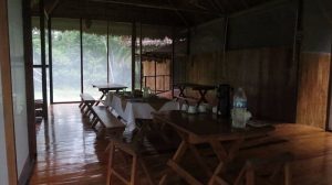 Itinerario Tambopata Rainforest Sandovallake 4 dias