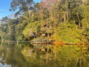 Itinerario Tambopata Rainforest Sandovallake 4 dias