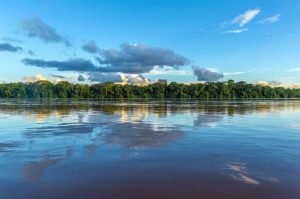 Bird Watching Photography In The Amazon