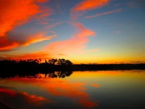 Bird Watching Photography In The Amazon