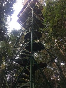 Tour en Amazonas Rainforest 2 dias