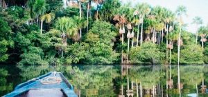 Excursion en Amazonia Peruana