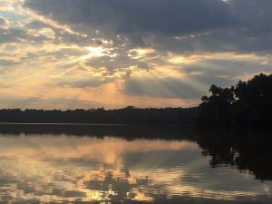 Tour en Amazonas Rainforest 2 dias