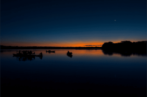 Bird Watching Photography In The Amazon
