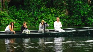 Tour en Amazonas Rainforest 2 dias