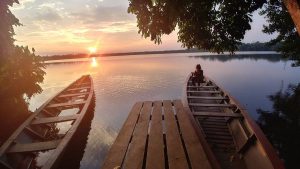 Tour en Amazonas Rainforest 2 dias