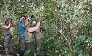 Observacion de Aves Fotografia