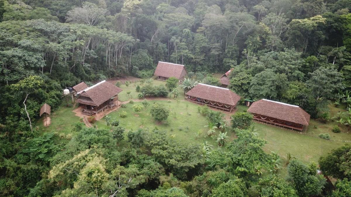 Booking Terms and Conditions – Tambopata Lodge