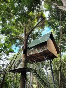 Explore the Amazon in Peru Macaw Clay 3 days
