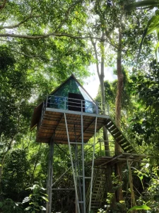 Explore the Amazon in Peru Macaw Clay