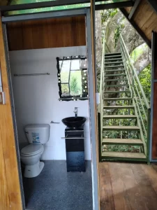 Explore the Amazon in Peru Macaw Clay