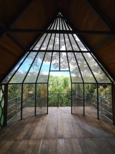 Explore the Amazon in Peru Macaw Clay