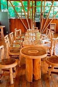 Explore the Amazon in Peru Macaw Clay