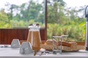 Explore the Amazon in Peru Macaw Clay