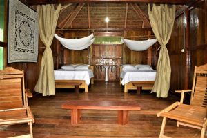 Explore the Amazon in Peru Macaw Clay