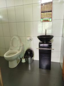 Explore the Amazon in Peru Macaw Clay