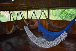 Explore the Amazon in Peru Macaw Clay