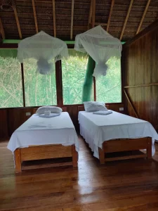 Explore the Amazon in Peru Macaw Clay