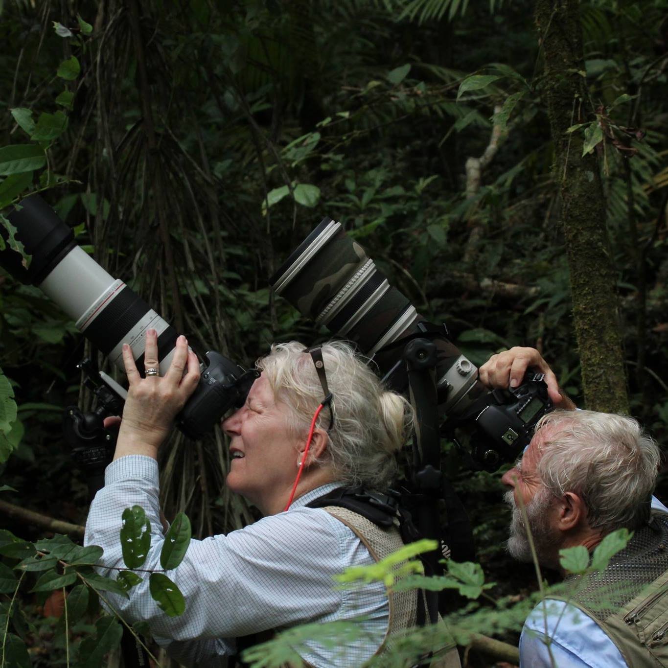 Tour Amazon Desde Peru 5 dias