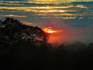 Mejores Viajes: Selva de Tambopata – 2 días