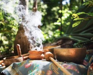 The Tour Ceremony Ayahuasca 2 Day