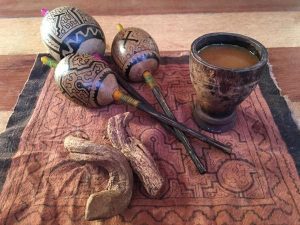 The Tour Ceremony Ayahuasca 2 Day