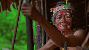 Informacion Sobre Selva Amazonica