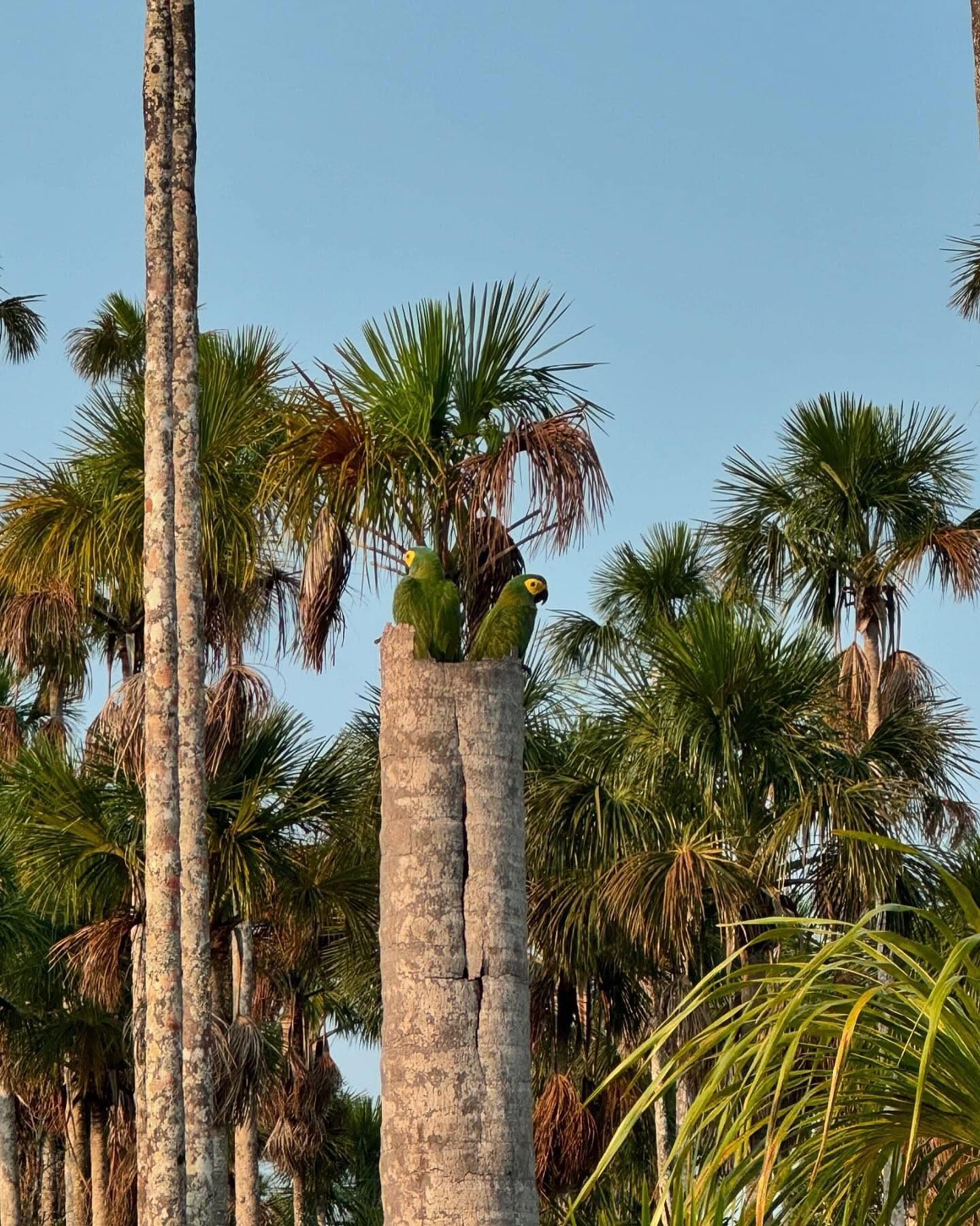 Explore The Peruvian Amazon 3-day