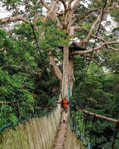 Tour Expedicion Aventuras Amazonica Peru 5 dias