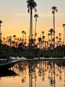 Yacumama Lake Piranha Fishing Trip - Tour