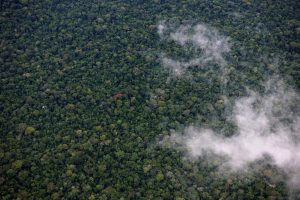 amazon trips peru