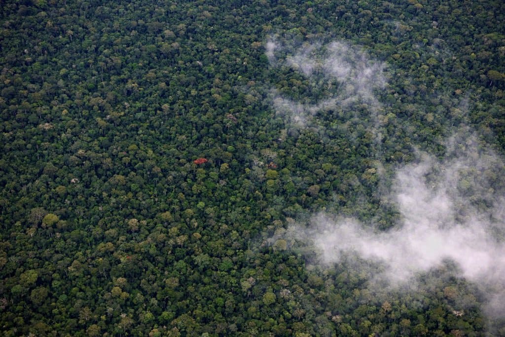 amazon trips peru