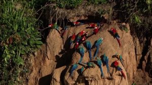 tour rainforest trip